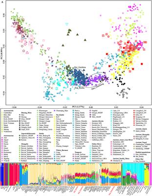 Significant East Asian Affinity of the Sichuan Hui Genomic Structure Suggests the Predominance of the Cultural Diffusion Model in the Genetic Formation Process